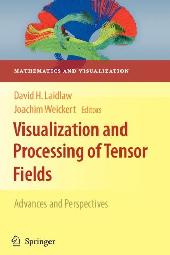 9783540884248: Visualization and Processing of Tensor Fields (Mathematics and Visualization)