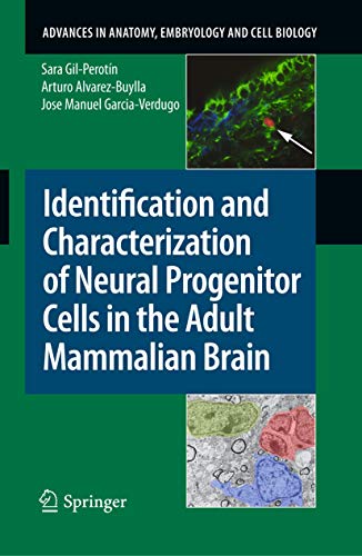 Stock image for Identification and Characterization of Neural Progenitor Cells in the Adult Mammalian Brain: Vol 203 for sale by Revaluation Books