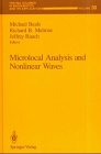 9783540975915: Microlocal Analysis and Nonlinear Waves: Vol 30 (The IMA Volumes in Mathematics and its Applications)