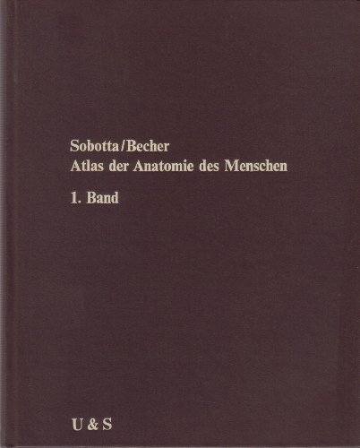 Imagen de archivo de Sobotta Atlas der Anatomie des Menschen Band 1 Knochen Bnder Gelenke und Muskeln, 17. Auflage Urban 1972, 272 Seiten, Bilder, a la venta por medimops