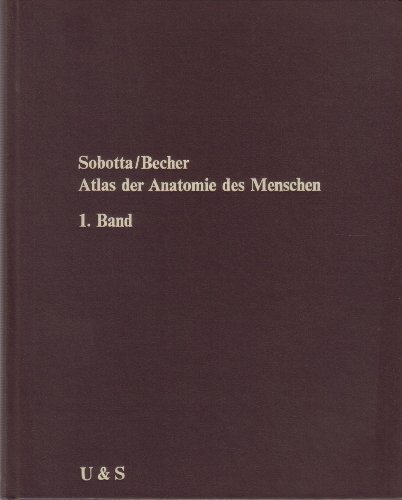 Stock image for Sobotta Atlas der Anatomie des Menschen Band 1 Knochen Bnder Gelenke und Muskeln, 17. Auflage Urban 1972, 272 Seiten, Bilder, for sale by medimops