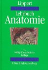 Imagen de archivo de Lehrbuch Anatomie a la venta por medimops