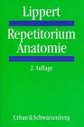 Imagen de archivo de Repetitorium Anatomie a la venta por medimops