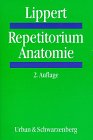 Stock image for Repetitorium Anatomie for sale by medimops