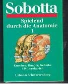 Beispielbild fr Spielend durch die Anatomie 1. Knochen, Bnder, Gelenke zum Verkauf von medimops