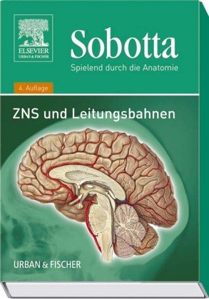 Stock image for Spielend durch die Anatomie, Lernkarten, Tl.3, ZNS und Leitungsbahnen, 126 Lernkarten for sale by medimops
