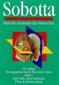 Beispielbild fr Atlas der Anatomie des Menschen, in 2 Bdn., Bd.1, Kopf, Hals, obere Extremitt zum Verkauf von medimops