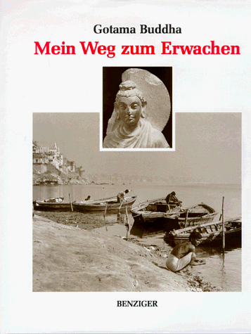 9783545341418: Mein Weg zum Erwachen: Eine Autobiographie (German Edition)
