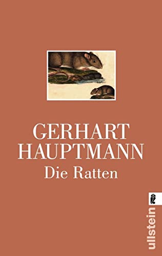 Imagen de archivo de Die Ratten (German Edition) a la venta por Bookmans