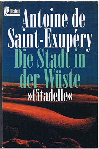 9783548238593: Die Stadt in der Wste