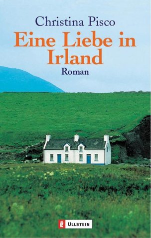 Stock image for Eine Liebe in Irland: Roman for sale by medimops