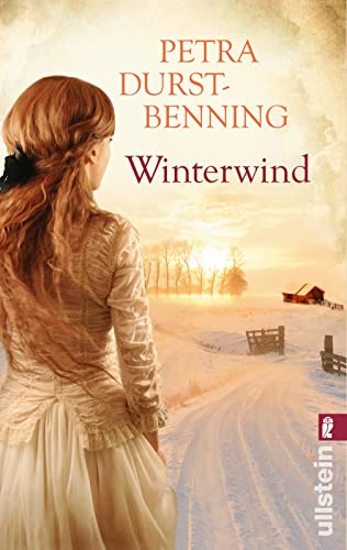 9783548287676: Winterwind: Weihnachtsgeschichten zum Trumen