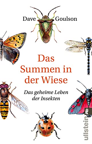 Beispielbild fr Das Summen in der Wiese: Das geheime Leben der Insekten zum Verkauf von medimops