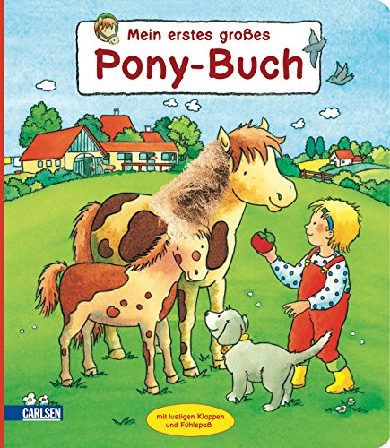 9783551164735: Mein erstes großes Pony-Buch