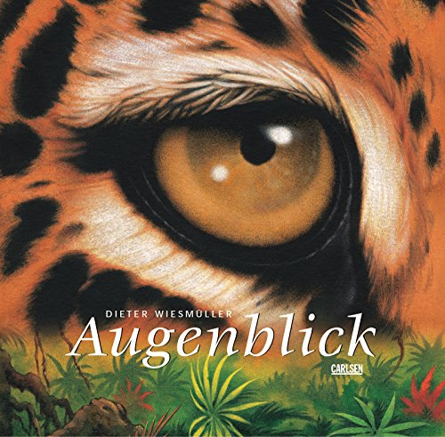 Stock image for Augenblick for sale by Ammareal