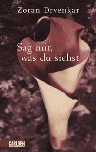 9783551580979: Sag mir, was du siehst