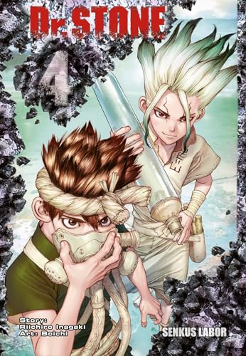 Imagen de archivo de Dr. Stone 4 -Language: german a la venta por GreatBookPrices