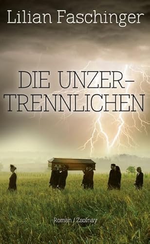 Imagen de archivo de Die Unzertrennlichen: Roman a la venta por medimops