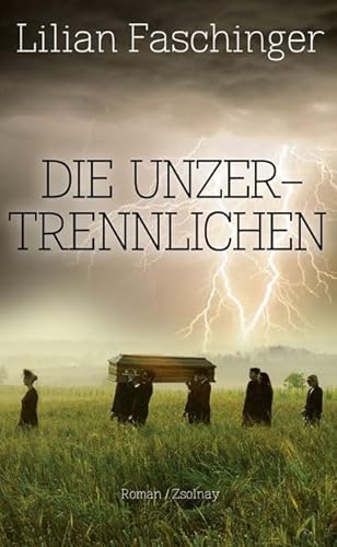 Stock image for Die Unzertrennlichen: Roman for sale by medimops