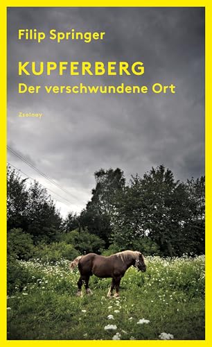 9783552059085: Kupferberg: Der verschwundene Ort