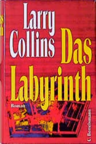 9783570010020: Das Labyrinth