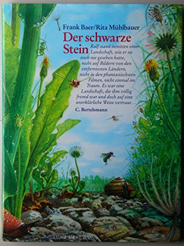 9783570030240: Der schwarze Stein