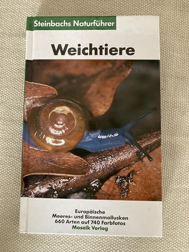 Steinbachs Naturführer - Weichtiere - Europäische Meeres- und Binnenmollusken - Rosina Fechter/Gerhard, Falkner und Wendler Fritz