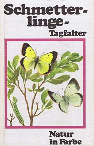 Stock image for Schmetterlinge - Tagfalter for sale by 3 Mile Island