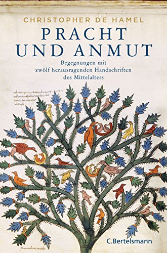 Stock image for Pracht und Anmut: Begegnungen mit zwlf herausragenden Handschriften des Mittelalters for sale by medimops
