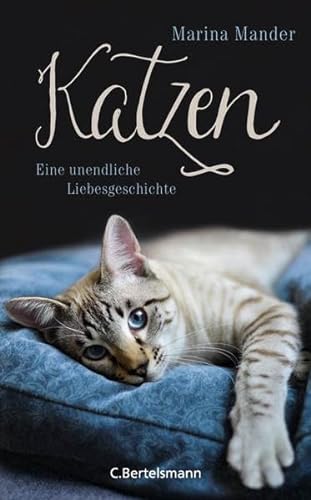 Stock image for Katzen - eine unendliche Liebesgeschichte for sale by Storisende Versandbuchhandlung
