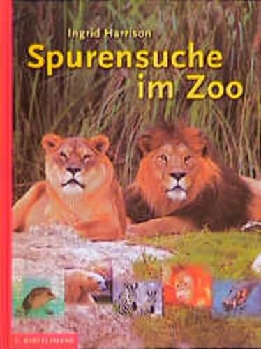 Stock image for Spurensuche im Zoo for sale by medimops