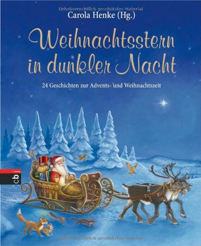 Beispielbild fr Weihnachtsstern in dunkler Nacht: 24 Geschichten zur Advents- und Weihnachtszeit zum Verkauf von medimops