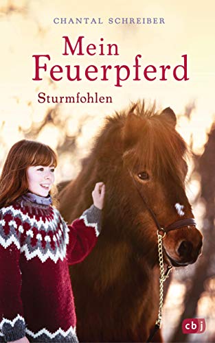 Stock image for Mein Feuerpferd - Sturmfohlen (Die Mein Feuerpferd-Reihe, Band 2) for sale by medimops