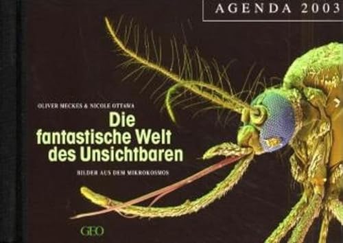 Stock image for Die fantastische Welt des Unsichtbaren, Agenda for sale by medimops