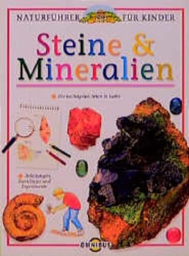 Stock image for Naturfhrer fr Kinder. Mineralien und Steine. ( Ab 10 J.). for sale by medimops