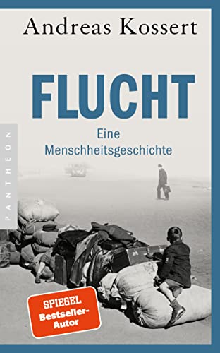 Stock image for Flucht ? Eine Menschheitsgeschichte for sale by medimops