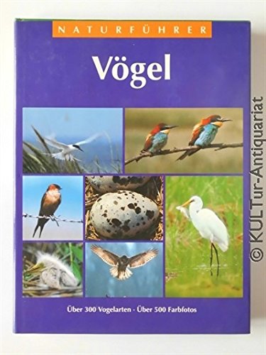 9783572006595: Naturfhrer Vgel. ber 300 Vogelarten