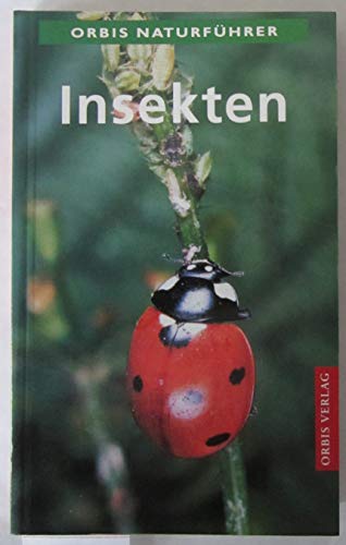 Stock image for Insekten. Mit Anhang Spinnentiere for sale by medimops