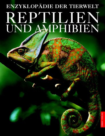 Beispielbild fr Reptilien & Amphibien zum Verkauf von medimops