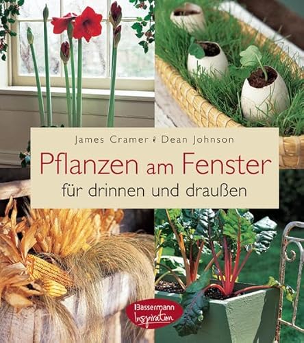 Pflanzen am Fenster für drinnen und draußen. 100 Projekte und Pflanzideen für jede Jahreszeit