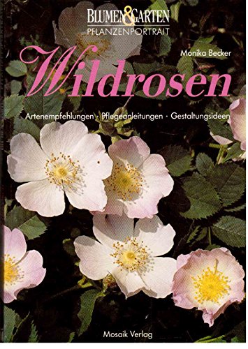 Stock image for Wildrosen for sale by medimops