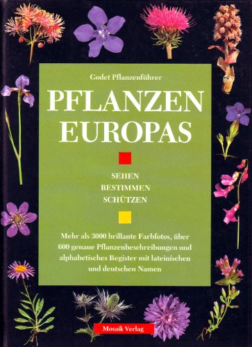 Stock image for Pflanzen Europas for sale by medimops