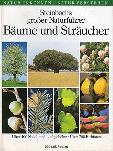 Stock image for Bume und Strucher for sale by medimops