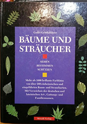 Beispielbild fr Bume und Strucher. Einheimische und eingefhrte Baum- und Straucharten zum Verkauf von medimops