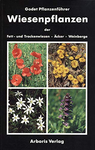 9783576101913: Blumen der Trockenwiesen und Fettwiesen