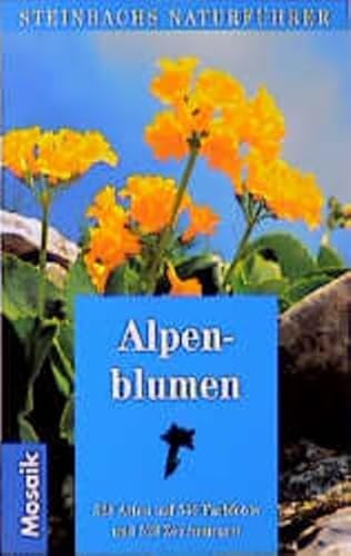 9783576105584: Steinbachs Naturfhrer Alpenblumen. 528 Arten