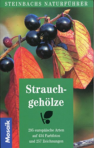 Stock image for Steinbachs Naturfhrer Strauchgehlze. 295 europische Arten for sale by medimops