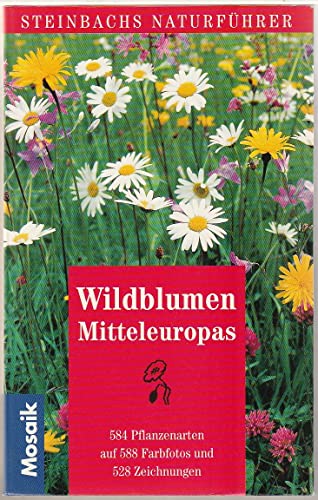 Steinbachs Naturführer Wildblumen Mitteleuropas - Münker, Bertram
