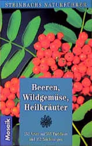 Stock image for Beeren, Wildgemse, Heilkruter: 252 Arten (Steinbachs Naturfhrer) for sale by Buchmarie