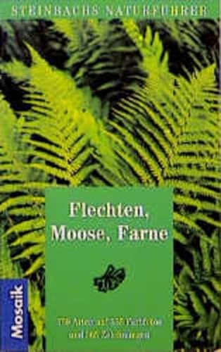 Steinbachs Naturführer Flechten, Moose, Farne - Bruno P. Kremer, Hermann Muhle